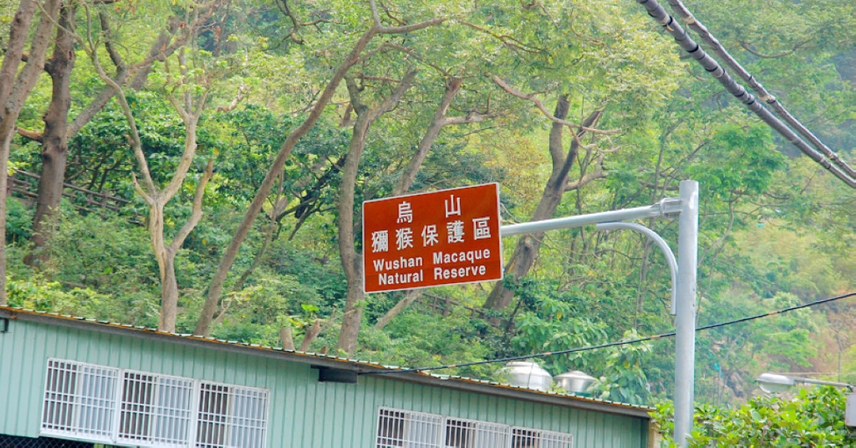 台南南化｜烏山獼猴保護區