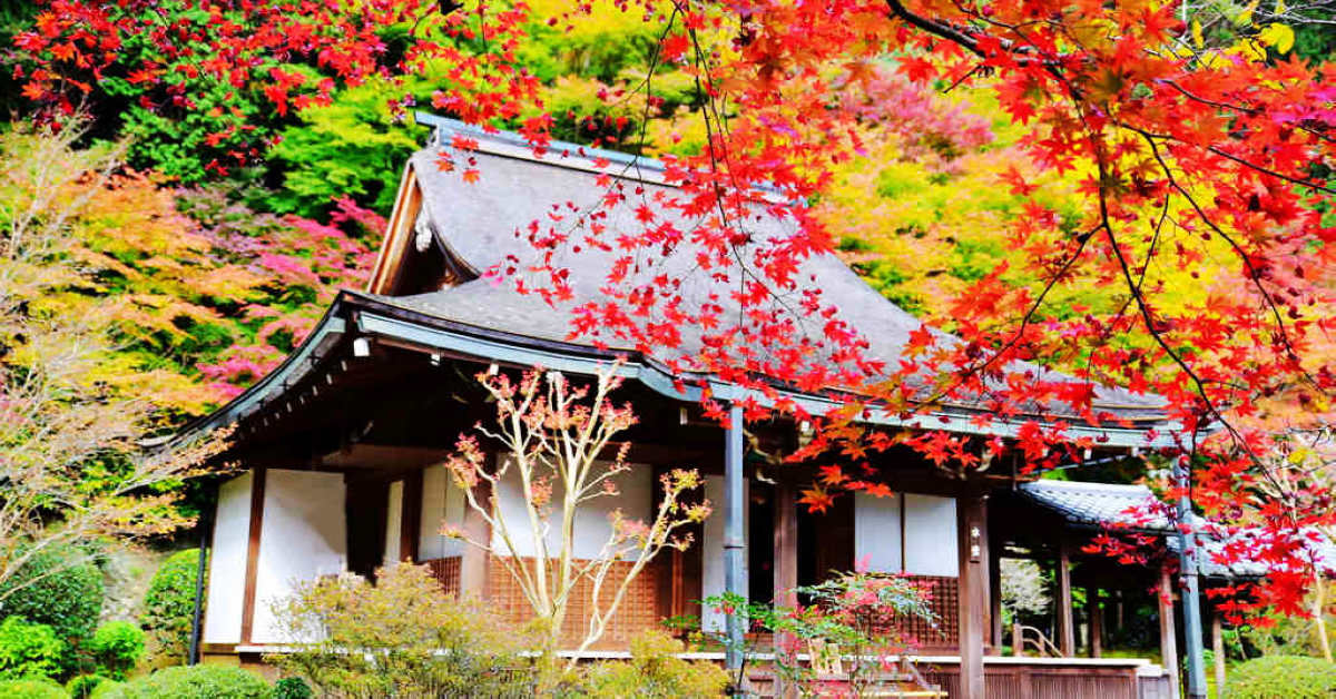 京都大原賞楓｜紅葉勝地～寂光院的美麗與平家物語的哀愁