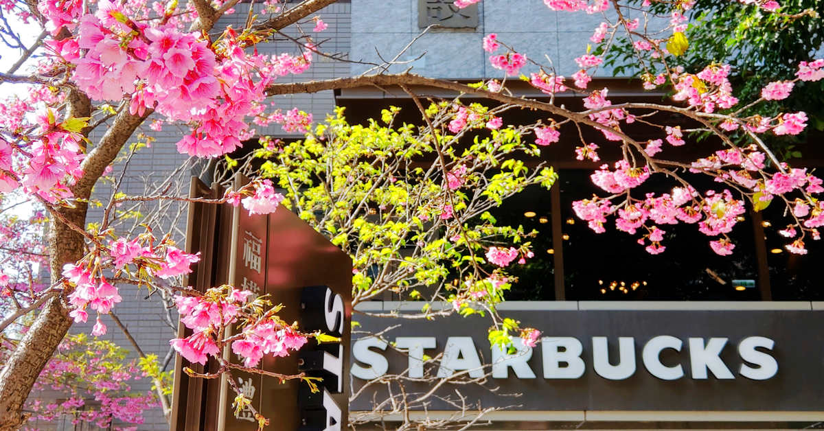 台灣特色星巴克｜STARBUCKS 林口文化三門市，2月限定門前會有櫻花盛開的特色門市