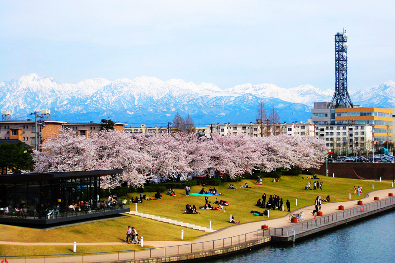 富山景點｜富岩運河環水公園～在世界最美的星巴克賞富山最美的櫻花大道