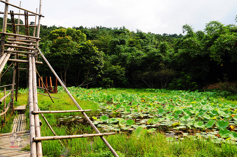 南投埔里｜桃米社區工坊、桃米生態村，給您純樸自然的鄉居生活