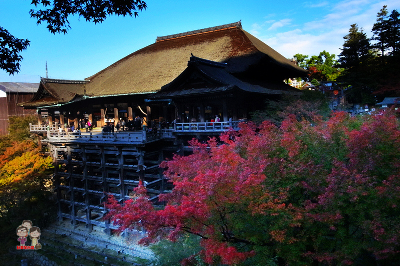 京都賞楓｜楓紅滿天．崖上的古剎～清水寺