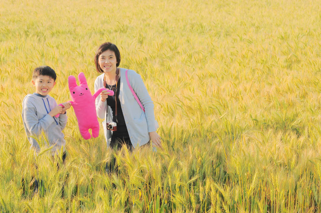台中大雅小麥產業文化節｜三月限定～麥田熟了，金黃的麥浪也來襲了