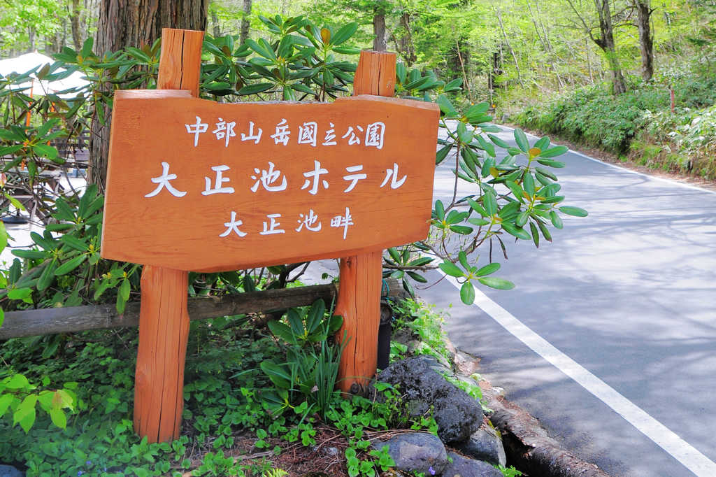 日本中部~長野自由行｜上高地(大正池—河童橋)，媽呀！這般無敵的美景，讓人以為來到了仙境