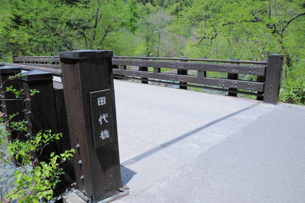 日本中部~長野自由行｜上高地(大正池—河童橋)，媽呀！這般無敵的美景，讓人以為來到了仙境