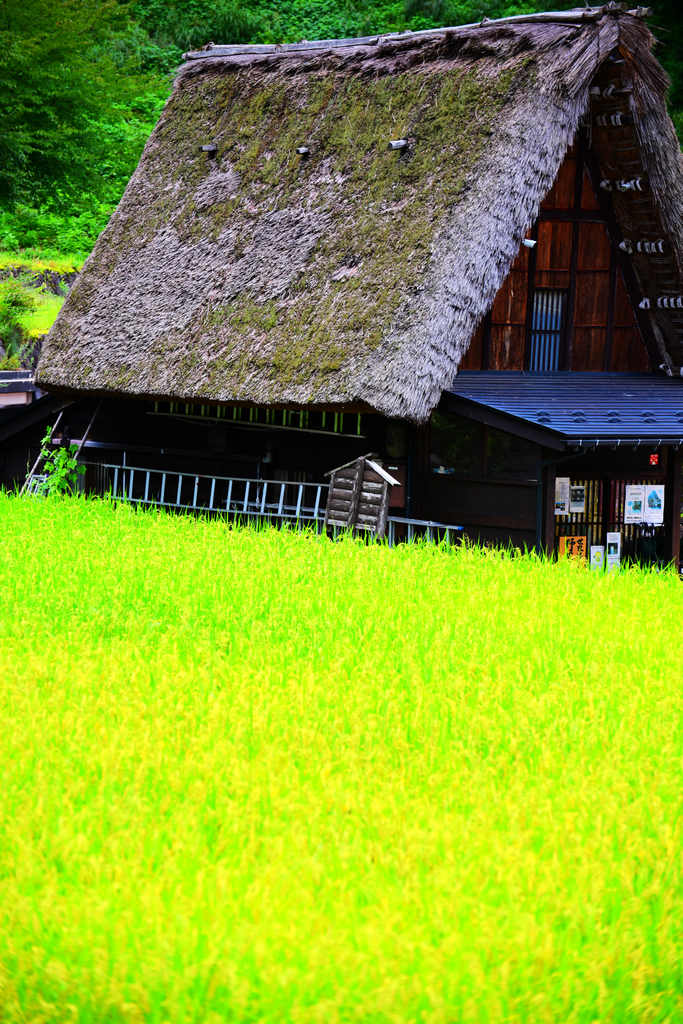 日本富山｜相倉合掌造り集落，世界文化遺產～山林間的童話聚落