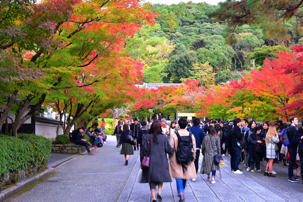 京都賞楓｜黃昏時刻的永觀堂迷人依舊，簷下的楓景，金黃又燦爛
