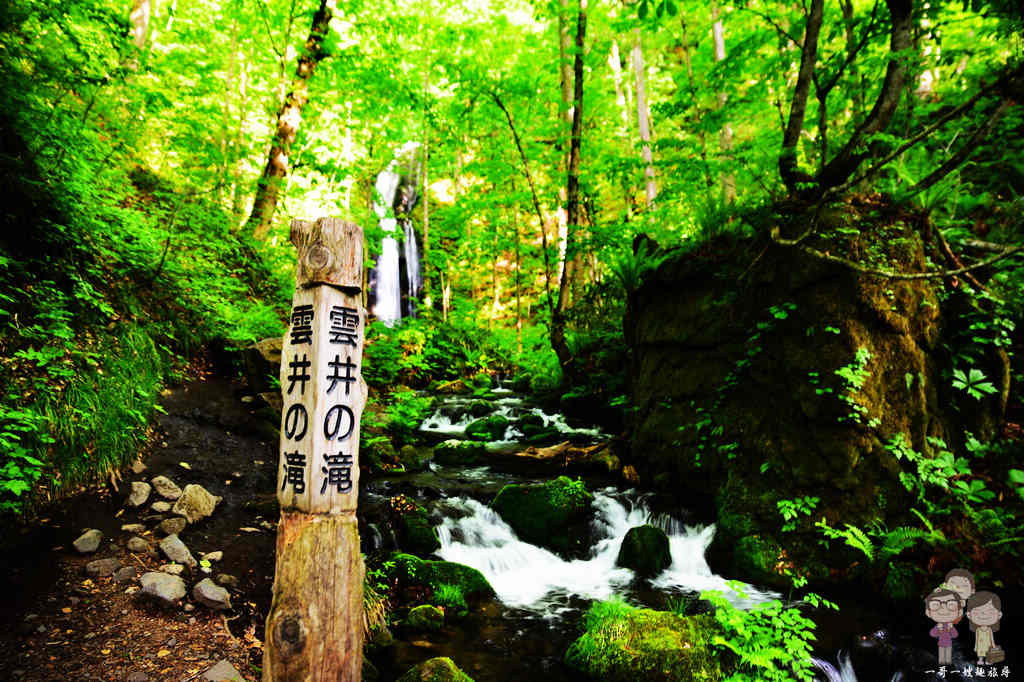 日本東北青森必遊景點｜自駕輕鬆遊「奧入瀨溪流」，新綠時節的景緻一整個超舒心