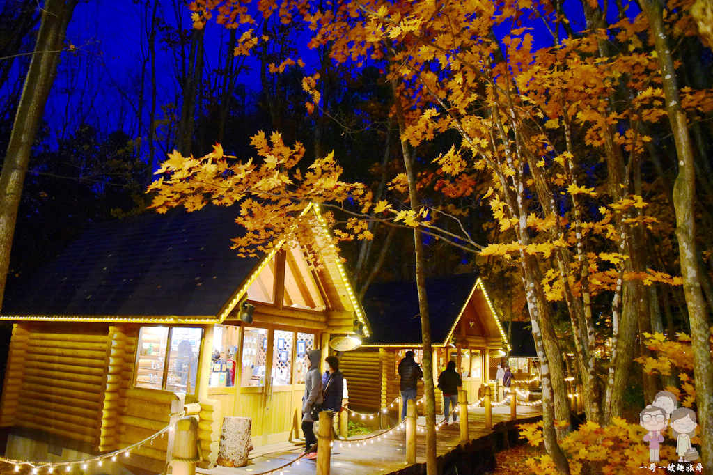北海道富良野｜傳說中會有精靈出現的森林精靈露台．白天與黑夜，風情皆萬種