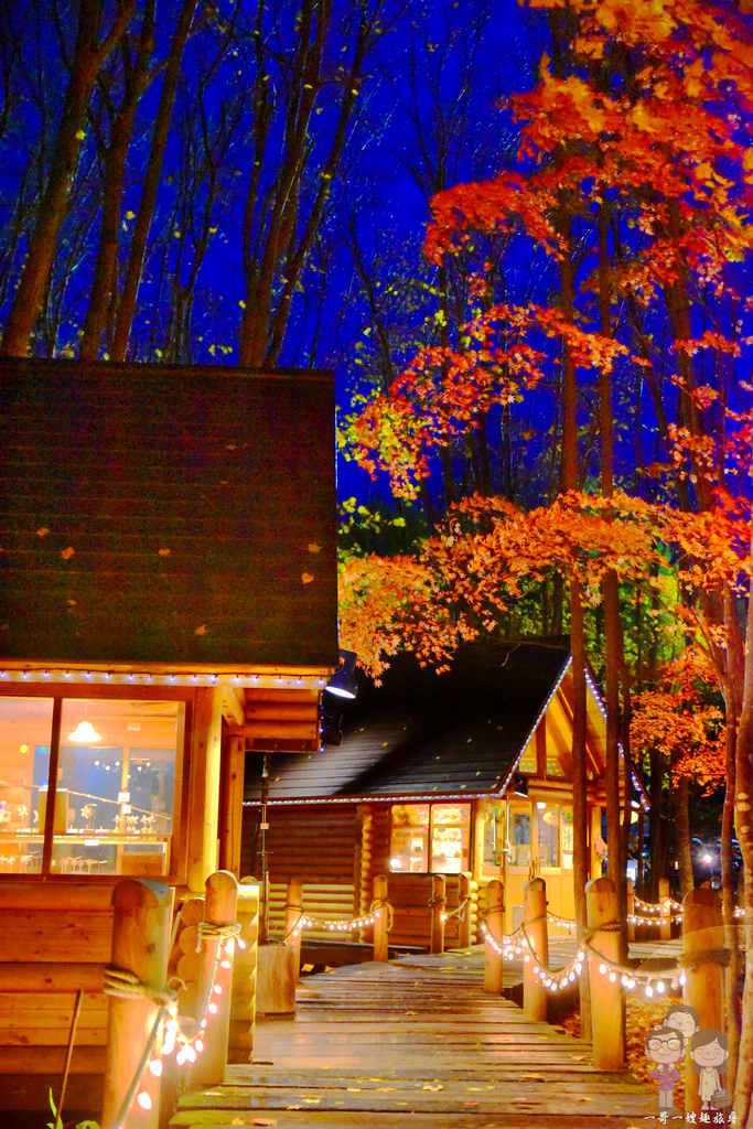 北海道富良野｜傳說中會有精靈出現的森林精靈露台．白天與黑夜，風情皆萬種