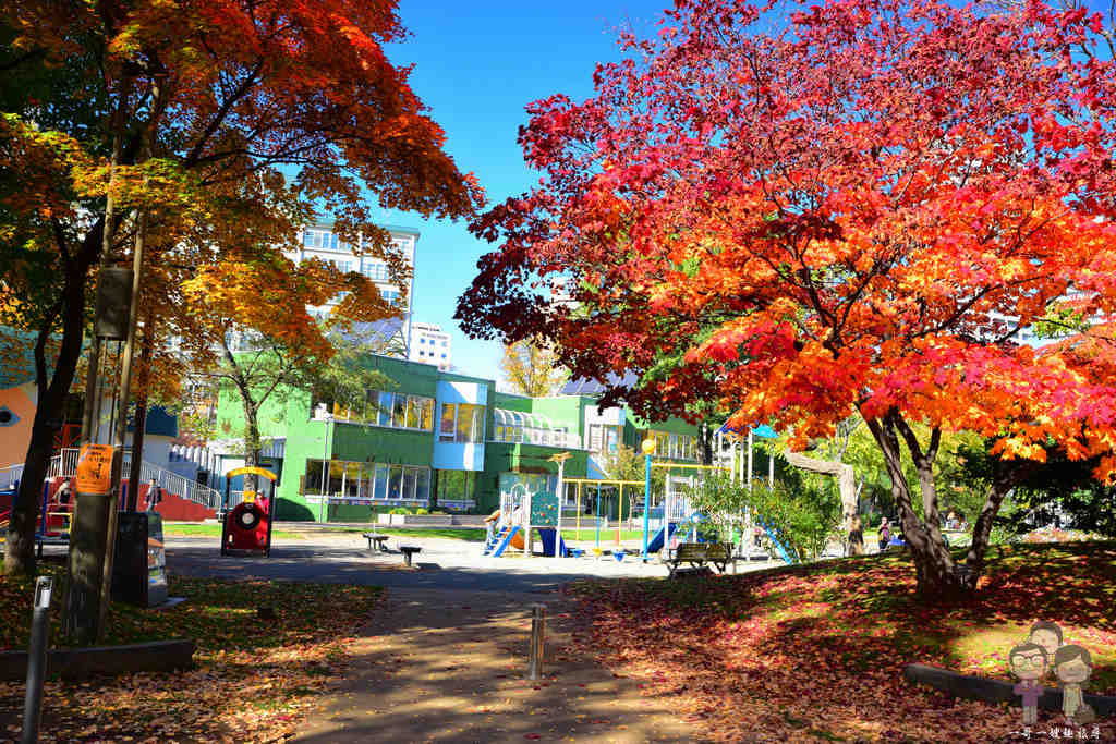 北海道札幌｜秋日必訪的中島公園，五顏六色的風景，精采絕倫