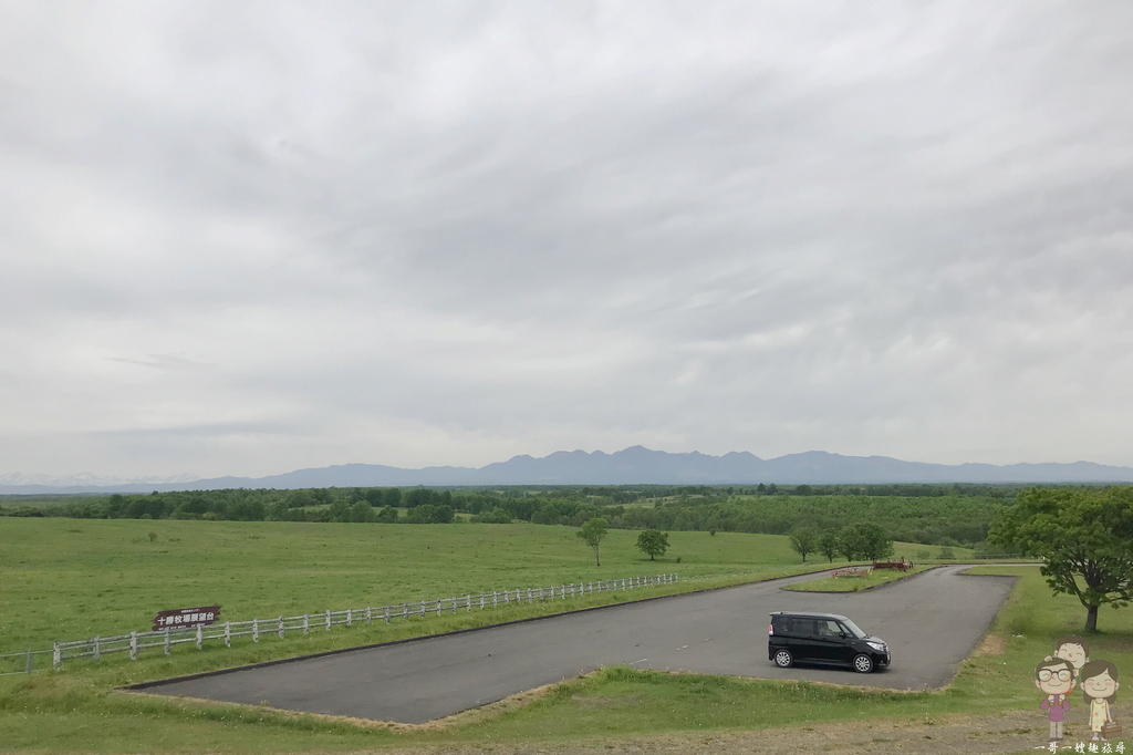 北海道道東自駕｜帶広景點：家畜改良中心 十勝牧場之白樺並木x夫妻柏x展望台