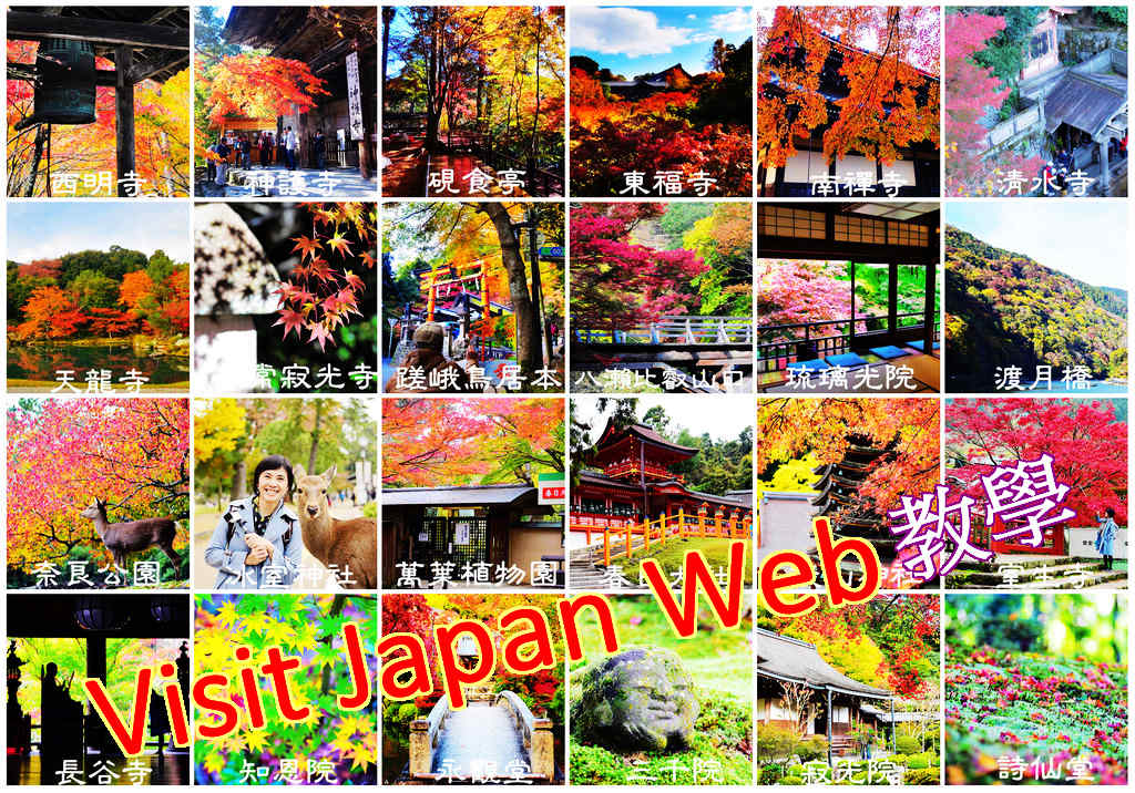 2022/11/14 起入境日本新規定｜「Visit Japan Web 」註冊與填寫步驟圖文教學