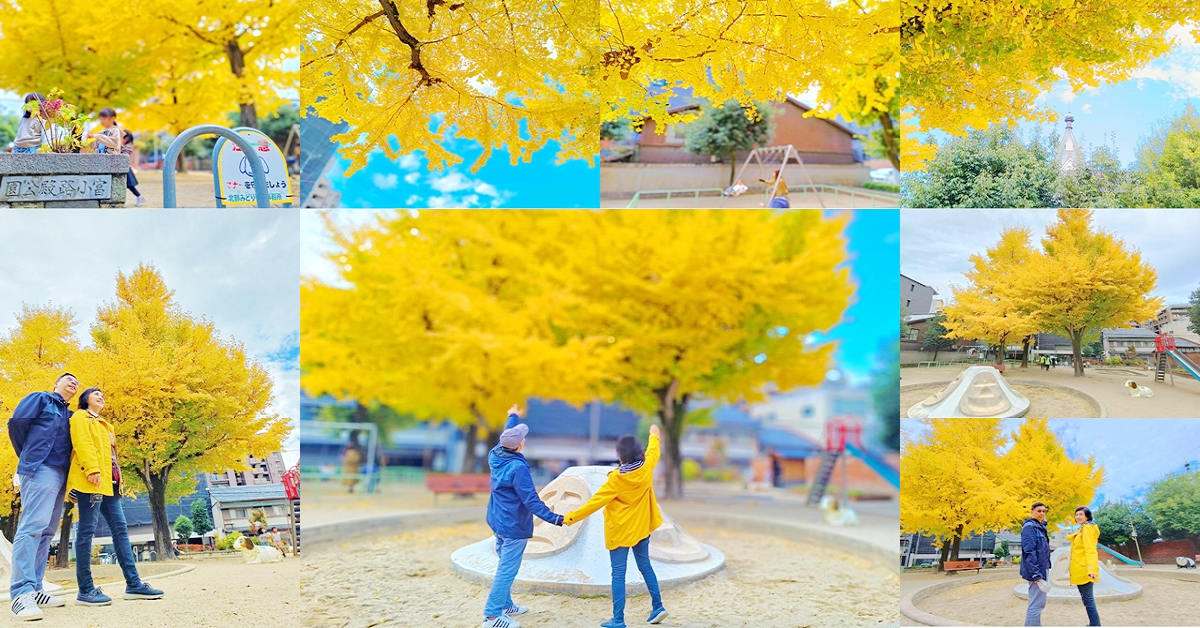 京都賞楓番外篇｜富小路殿公園～再平常不過的社區小公園，卻有兩棵金黃的大銀杏引人目光