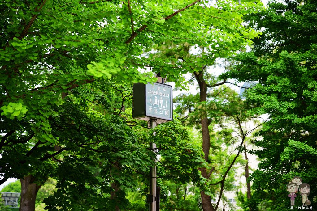 北海道札幌｜中島公園的新綠之際，景色一樣迷人