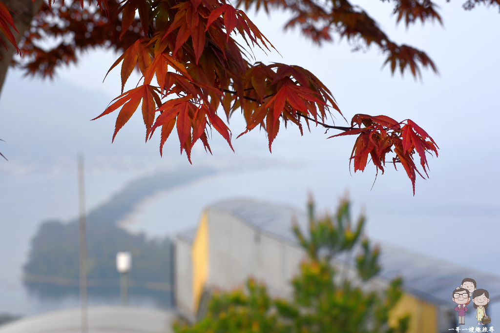 自駕遊海之京都景點｜日本三景之天橋立散策，登上飛龍觀眺望飛龍在天，品嚐在地名物蛤蠣丼飯