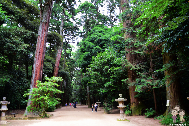 茨城＿鹿島神宮｜鬱鬱森林中1300多年歷史的古老神宮，吸收滿滿正能量的神之國度