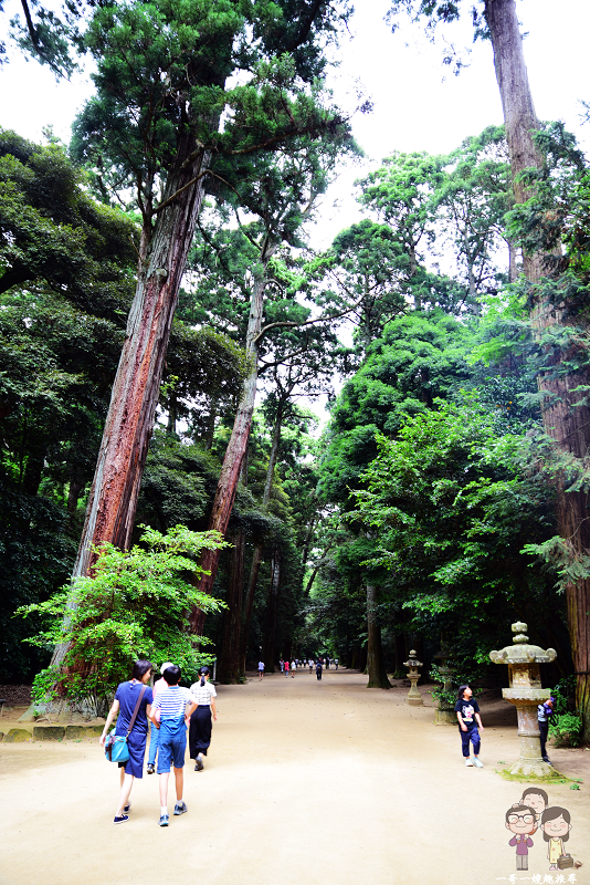 茨城＿鹿島神宮｜鬱鬱森林中1300多年歷史的古老神宮，吸收滿滿正能量的神之國度