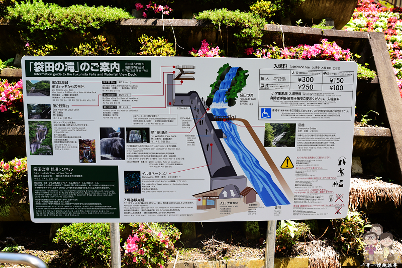 茨城大子町｜進隧道，搭電梯！壯闊的日本三大名瀑之袋田瀑布，輕輕鬆鬆就能入手