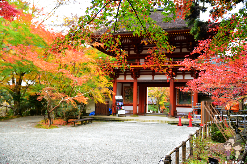 奈良賞楓 千年古寺飄楓情 紅葉勝地 女人高野 室生寺 一哥一嫂趣旅尋