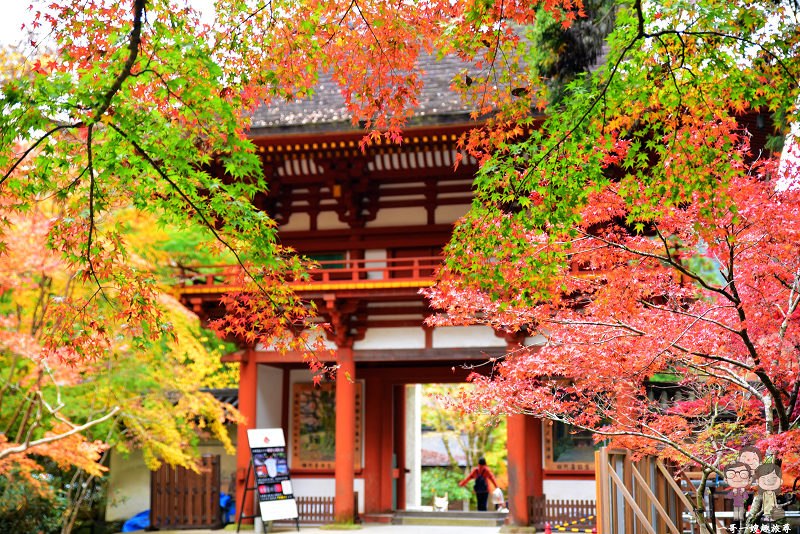 奈良賞楓 千年古寺飄楓情 紅葉勝地 女人高野 室生寺 一哥一嫂趣旅尋