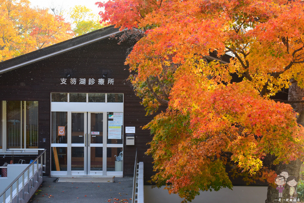 北海道千歲市賞楓｜支笏湖的秋色美到讓人想哭，放眼所及皆是楓紅滿天的絕美景緻