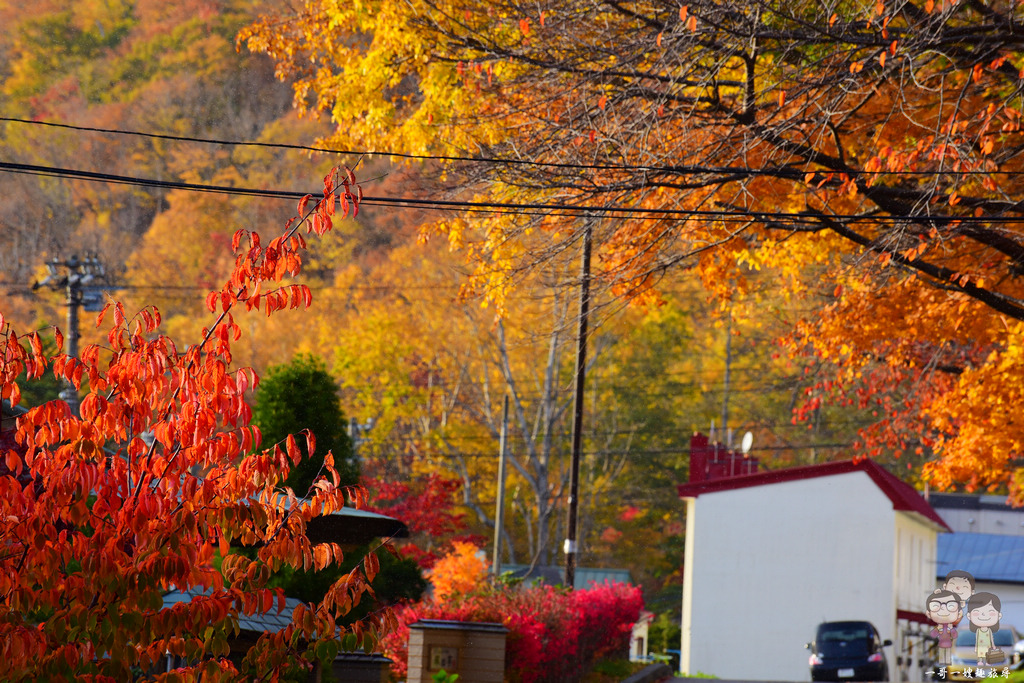 北海道千歲市賞楓｜支笏湖的秋色美到讓人想哭，放眼所及皆是楓紅滿天的絕美景緻