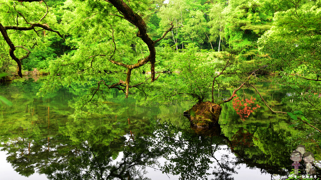 福島必遊景點｜五色沼自然探勝路～磐梯高原上的夢幻仙境