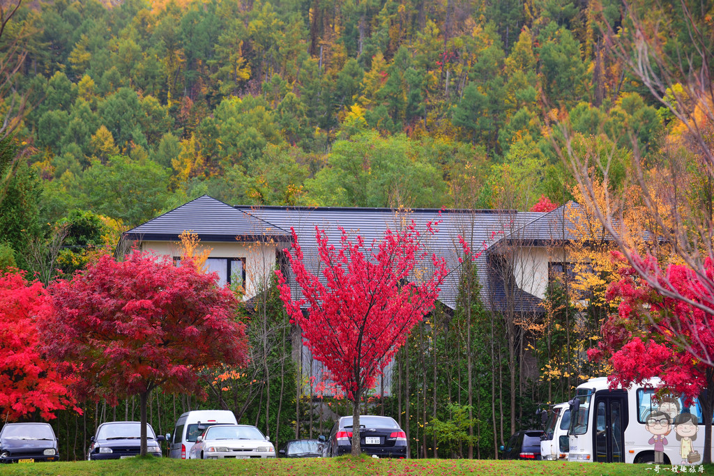 秋日的北海道｜洞爺湖畔賞楓＋溫泉街上的散策與美味
