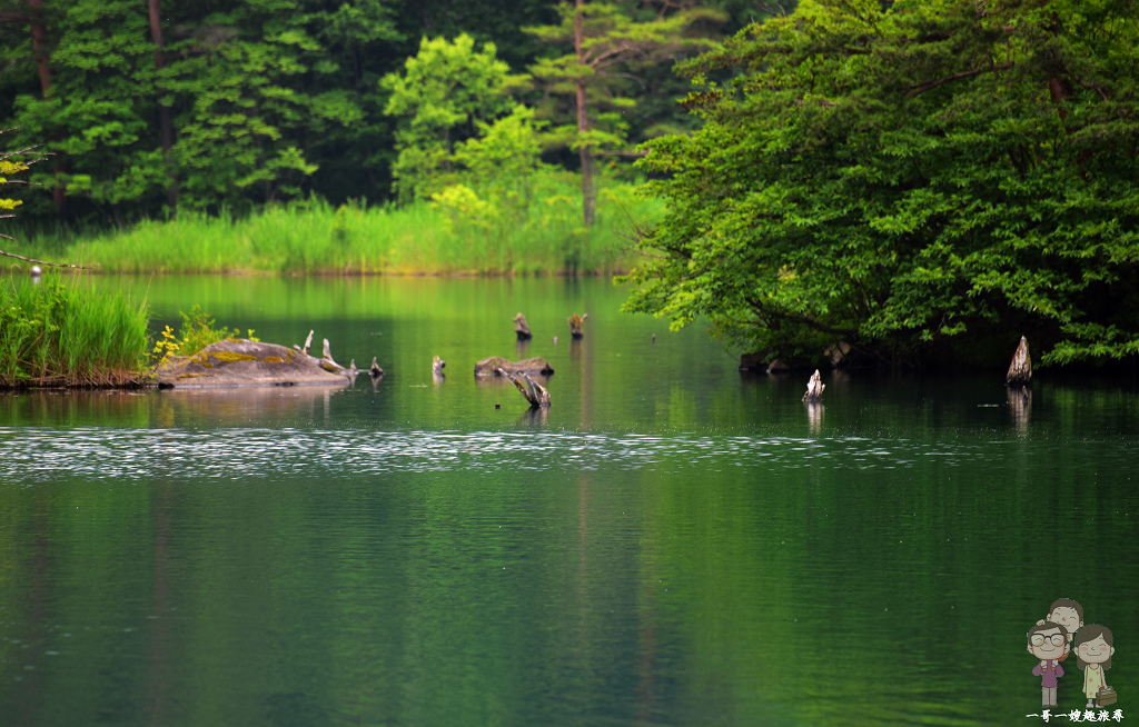 福島必遊景點｜五色沼自然探勝路～磐梯高原上的夢幻仙境