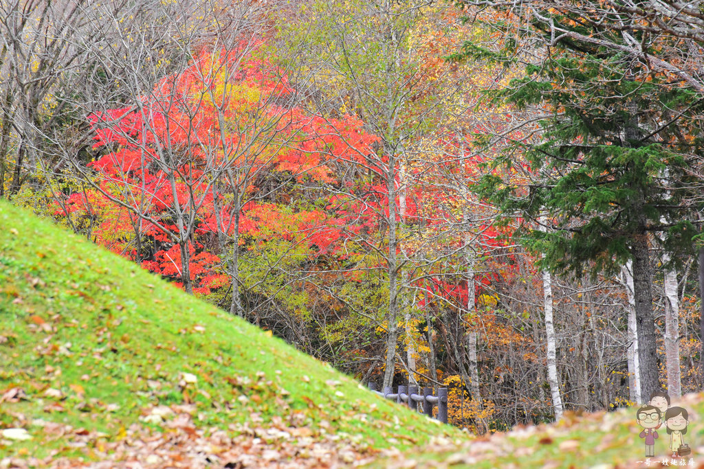 北海道自駕芦別三段滝公園｜秋季賞紅黃葉在芦別，國道452號路旁的小景點