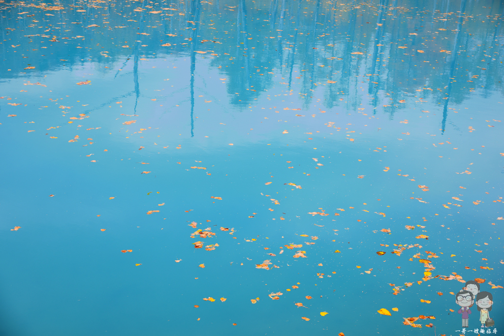 秋日的美瑛｜蒂芬妮藍的青池，美的好輕柔