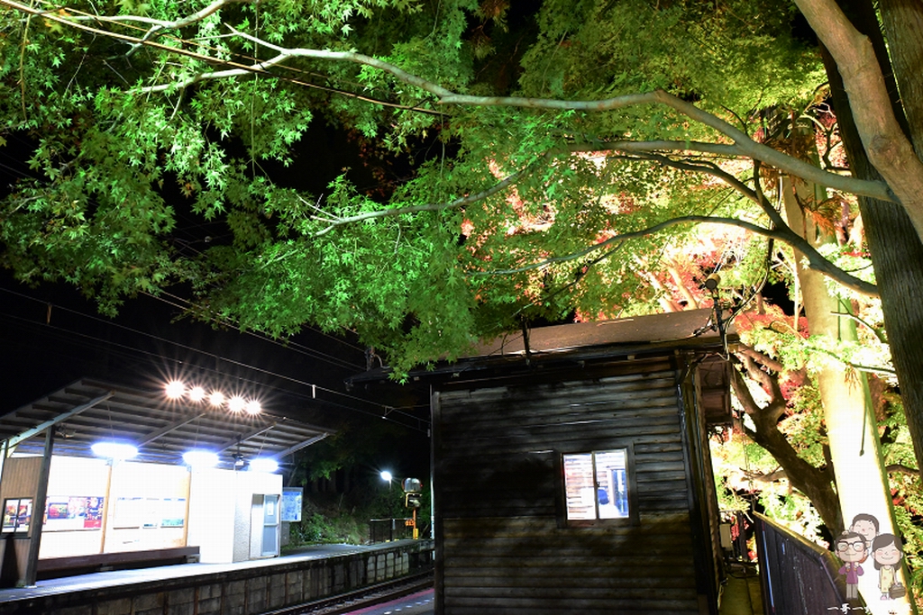 京都夜楓電車｜叡山電車：市原⇔二之瀨間的紅葉隧道，