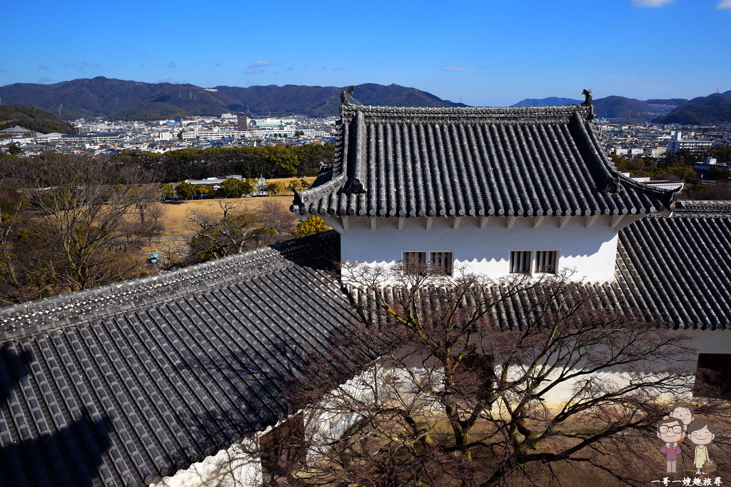 日本第一名城～姬路城｜藍天下的白鷺城，真的是美不勝收！（內含交通資訊與天守全導覽）