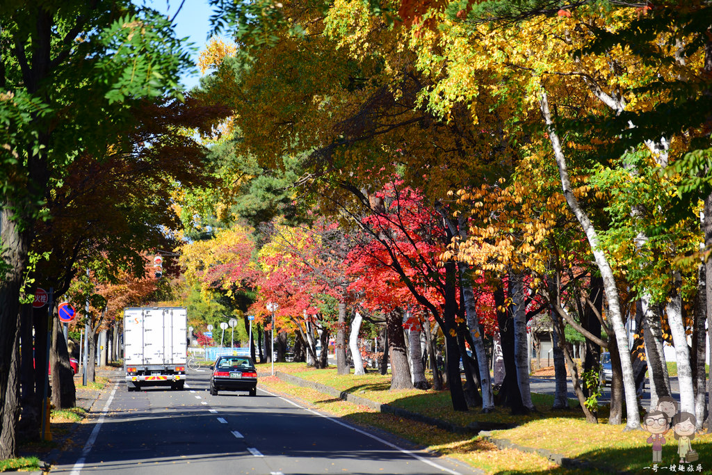 北海道札幌｜札幌冬奧主會場「真駒內公園」，化身為迷人秋色的紅葉景點