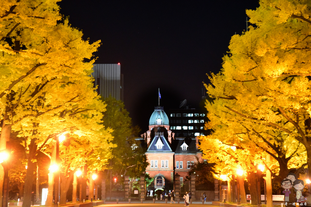 北海道札幌｜新巴洛克風格建築的舊道廳，迷人的秋色，白天與黑夜一樣金黃燦爛又美麗
