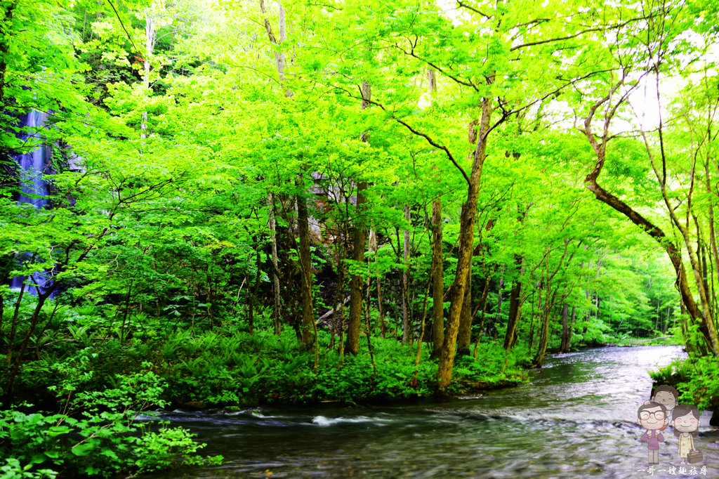 青森必遊景點｜自駕輕鬆遊奧入瀨溪流，新綠時節的景緻一整個超舒心