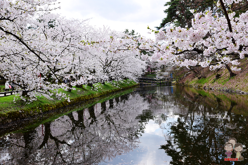 東北三大櫻名所｜櫻花百選之首～青森弘前公園， 花開的真是密密茂茂，滿開的櫻花美到你會吐。