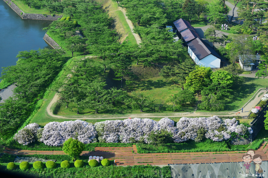 北海道函館｜五稜郭塔．俯瞰星稜之城的最佳觀景台！