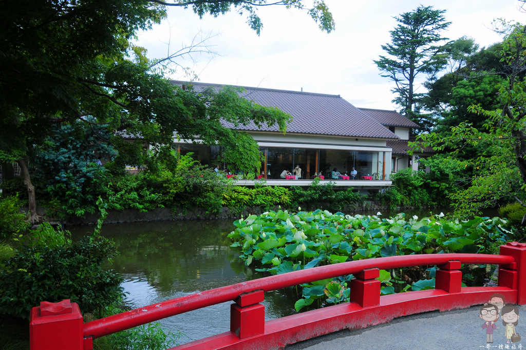 鎌倉景點｜鶴岡八幡宮，鎌倉一日遊中不能錯過的必訪景點