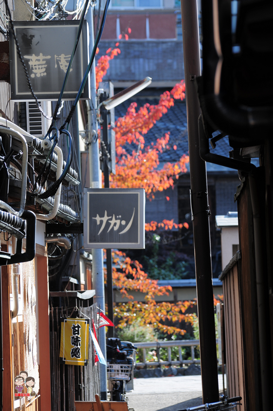 京都散策｜就算沒有櫻花也很美的祇園白川南通