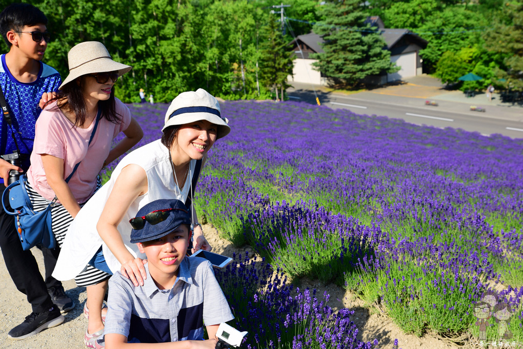 夏日北海道｜富良野必遊景點～富田農場，紫色的魔幻魅力＋彩色的花花世界