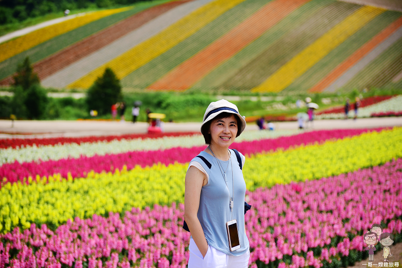 夏日北海道｜彩色的花花世界．美瑛四季彩の丘