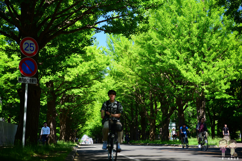 北海道自由行｜札幌 中島公園！新綠．秋楓，四季皆迷人