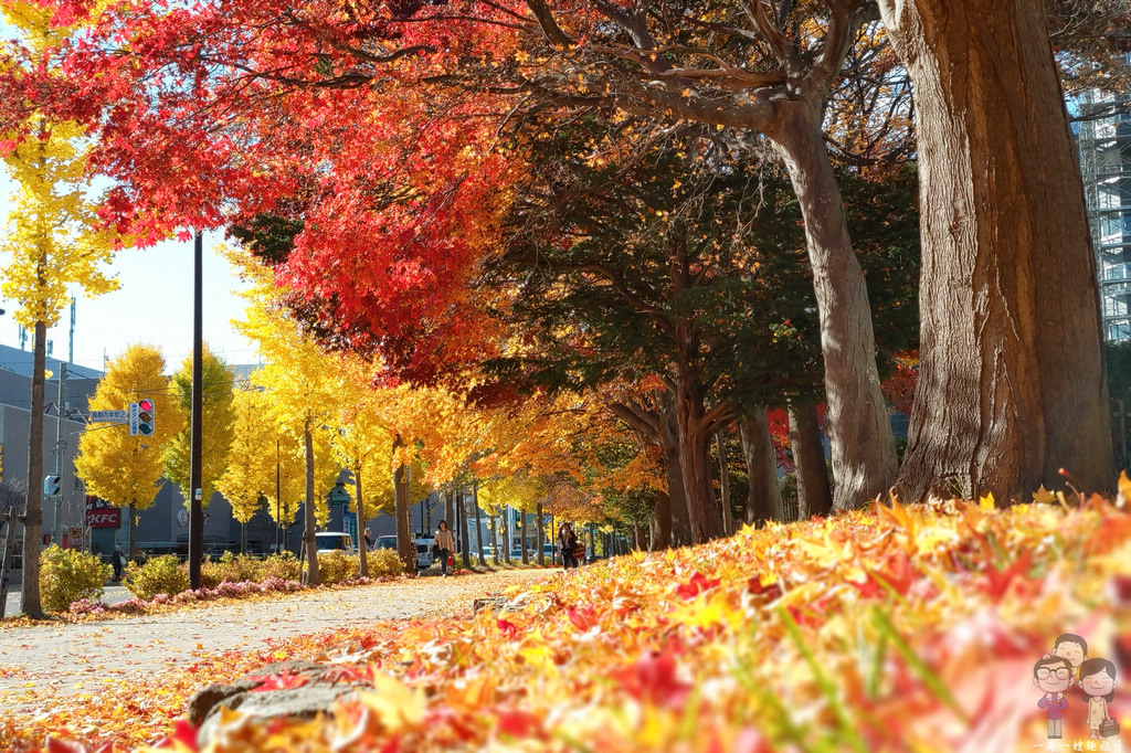 北海道札幌｜真駒內地鐵出站一分鐘就能看到的好風景，札幌的秋日就來這邊賞楓吧！