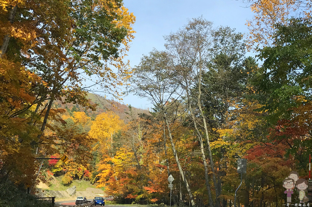北海道賞楓｜楓紅滿天的絕美景緻，支笏湖的秋色美到讓人想哭