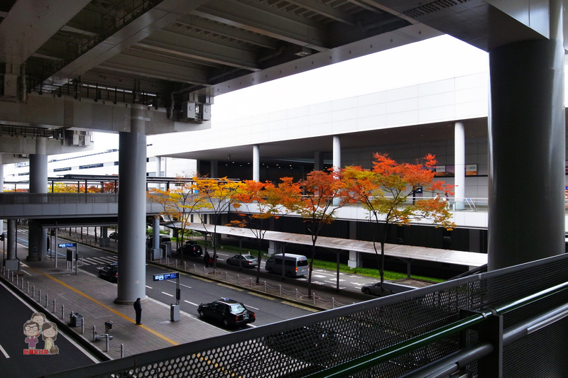 京都賞楓自由行交通方案｜關西機場到京都搭HARUKA就對啦