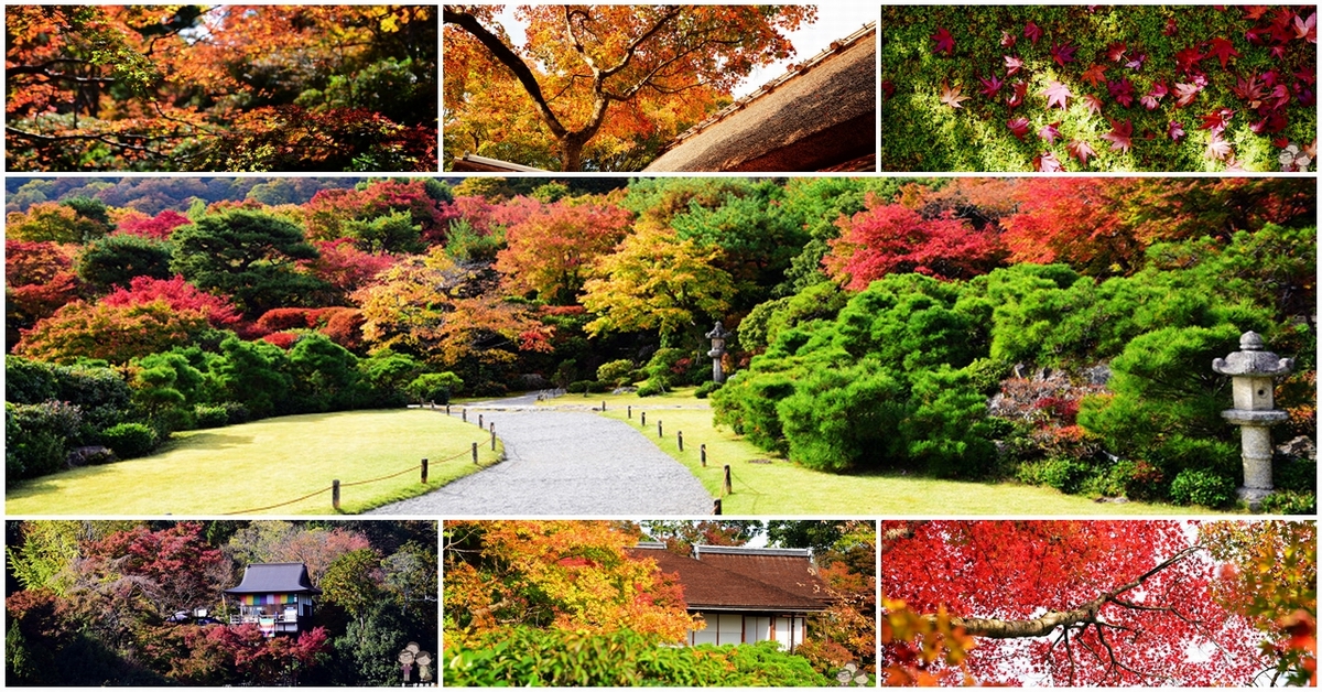 京都賞楓在嵐山｜漫天飛舞的紅葉庭園，大河內山莊庭園
