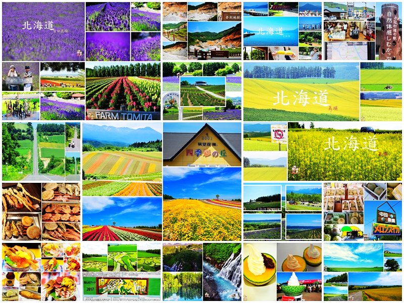 北海道中富良野｜紫色薰衣草之遊客少少的彩香の里
