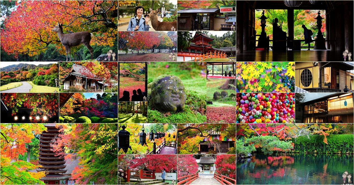京都賞楓～永觀堂禪林寺｜除了白天楓景綺麗之外，更是京都賞夜楓的第一名所